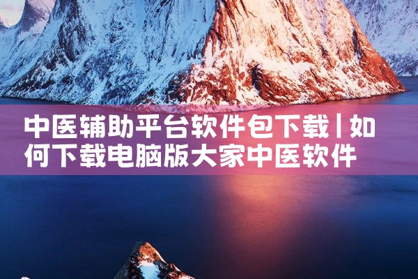 中医辅助平台软件包下载