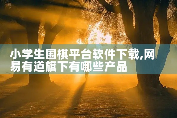 小学生围棋平台软件下载
