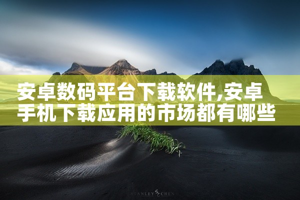 安卓数码平台下载软件