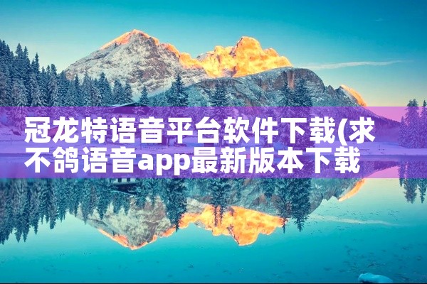 冠龙特语音平台软件下载