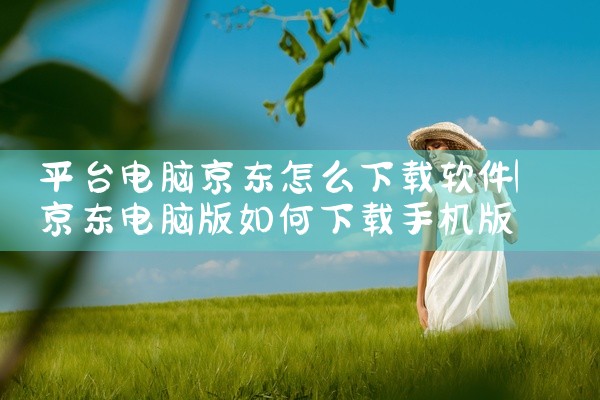平台电脑京东怎么下载软件