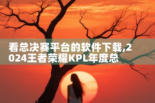 看总决赛平台的软件下载