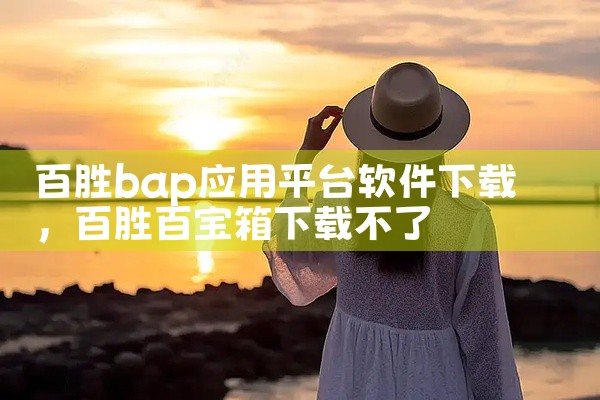 百胜bap应用平台软件下载